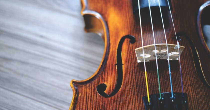 Violin Buying Guide From The Best Violin Shop Singapore